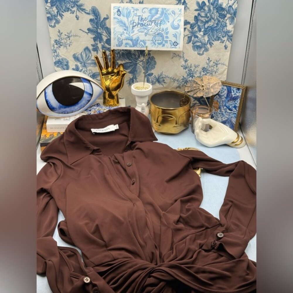 🆕 RAT & BOA 🧿 NWOT Rucci Long Sleeve Ruched Shirt Dress, Brown - Sz XXS - Picture 13 of 16